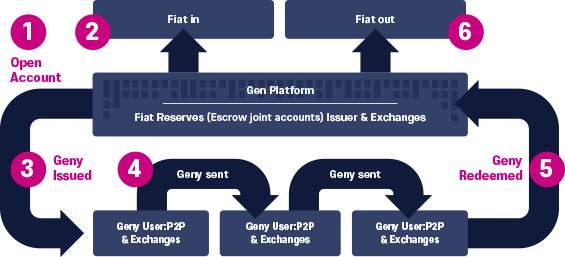 Flow of Funds Process